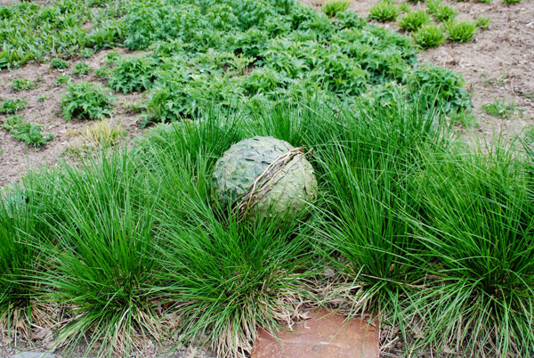 projekte - marion van der sant